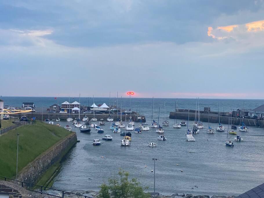 Aberaeron Island House - Panoramic Harbour Views Villa Exteriör bild